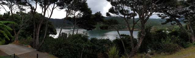 767 Whangaparapara Road Great Barrier Island (Aotea Island)_4