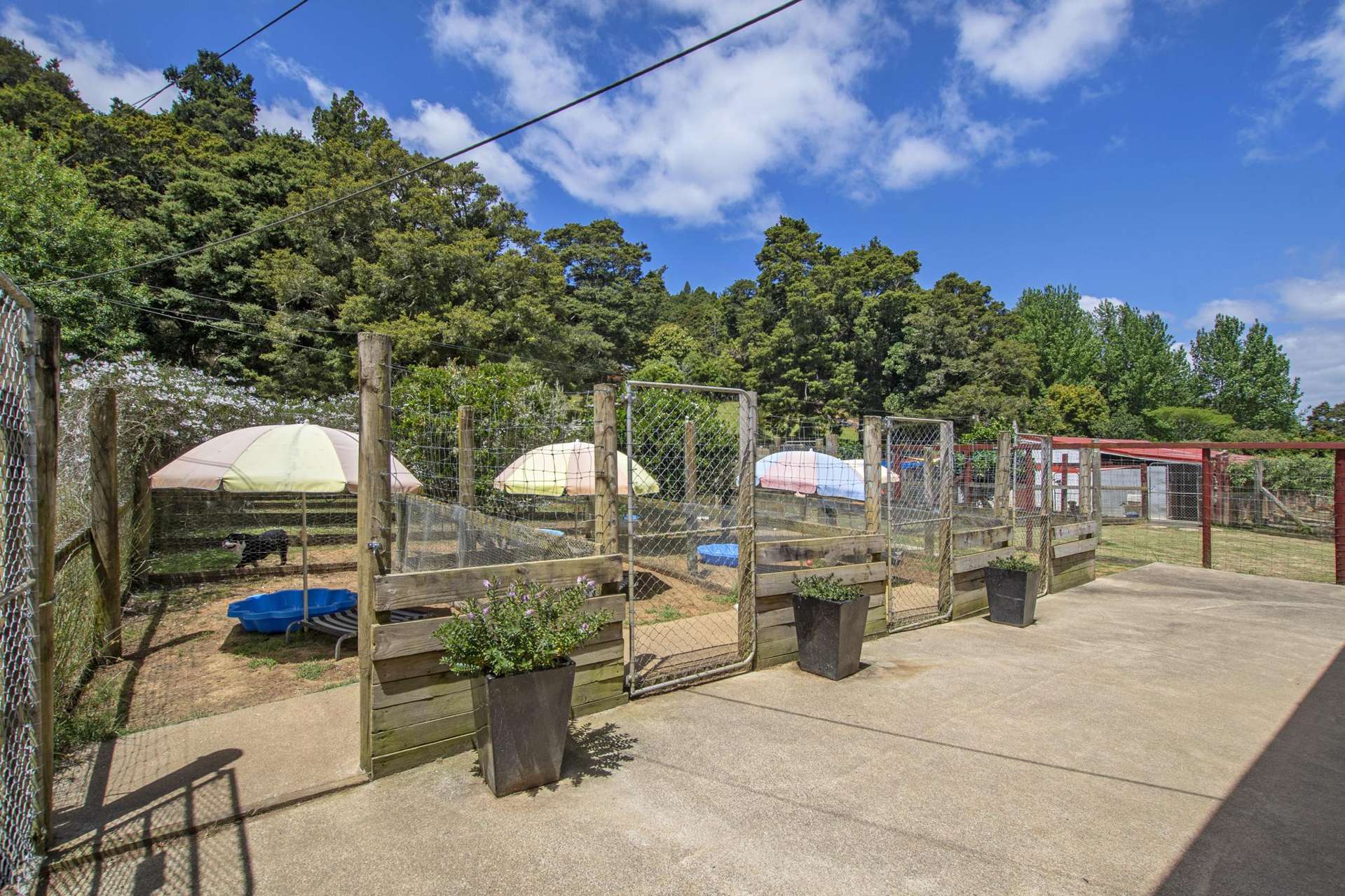 770 State Highway 1 Kauri_0