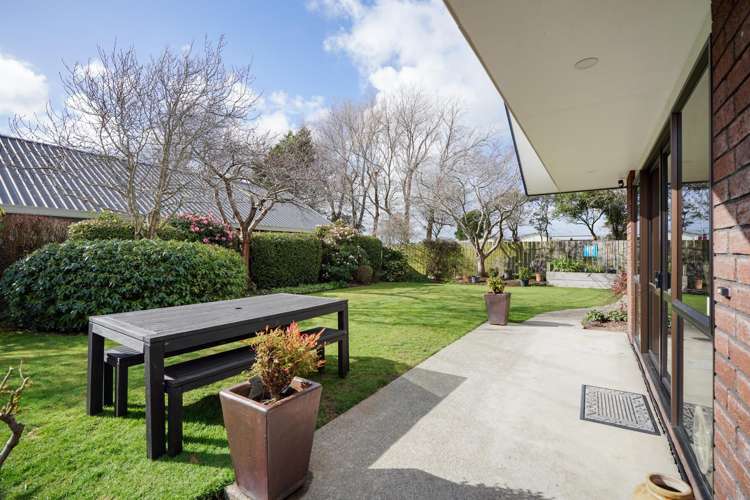 181 Ward Street Hargest_20