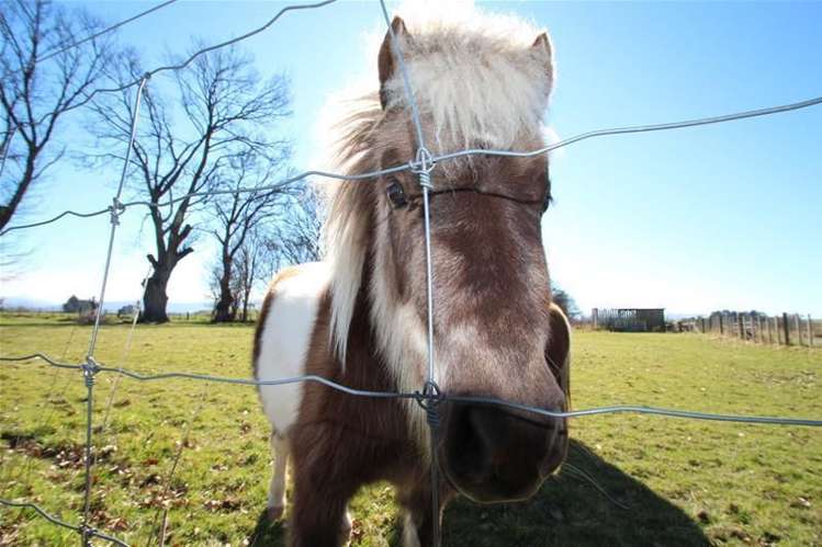 23 Kelso Road Gore Surrounds_19