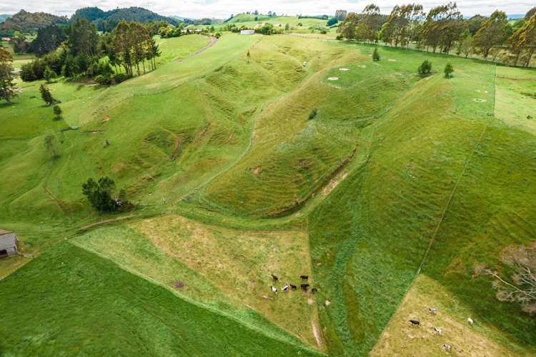 718 Oruanui Road Oruanui_31