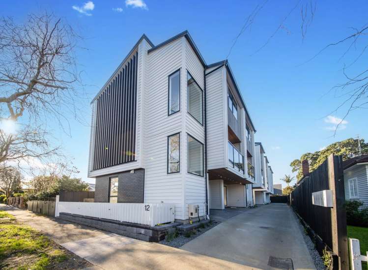 12b Nolan Road Greenlane_0