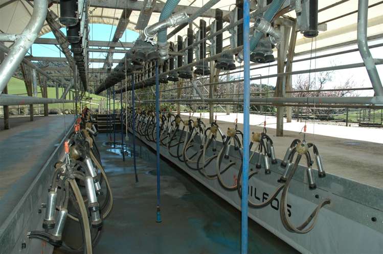 969 Piakonui Road Richmond Downs_5