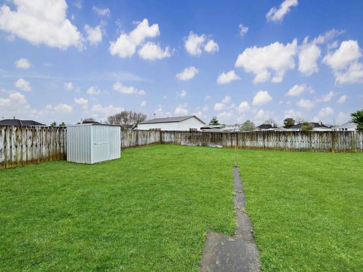 6 Devon Crescent Bulls_8