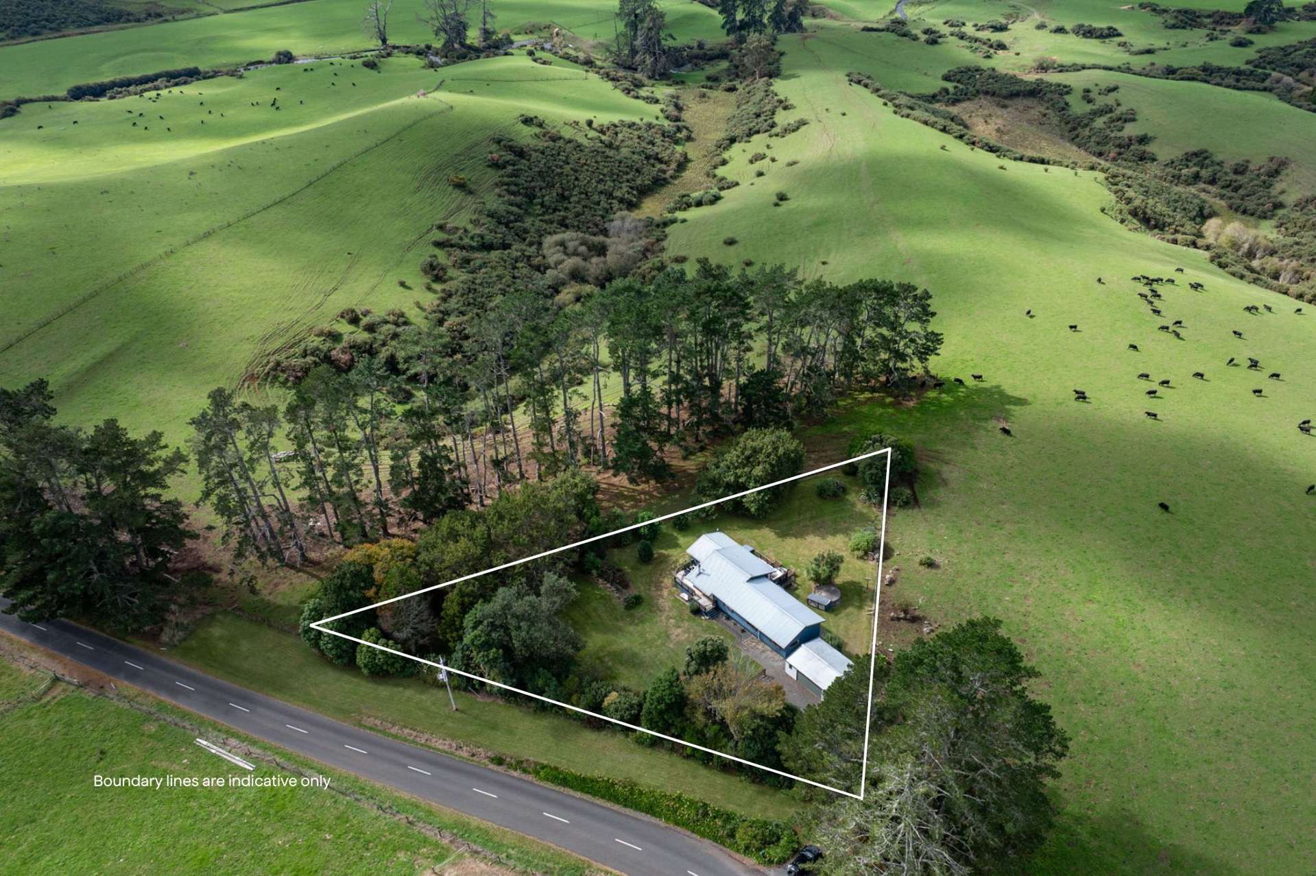 91 Grey Road Pirongia_0