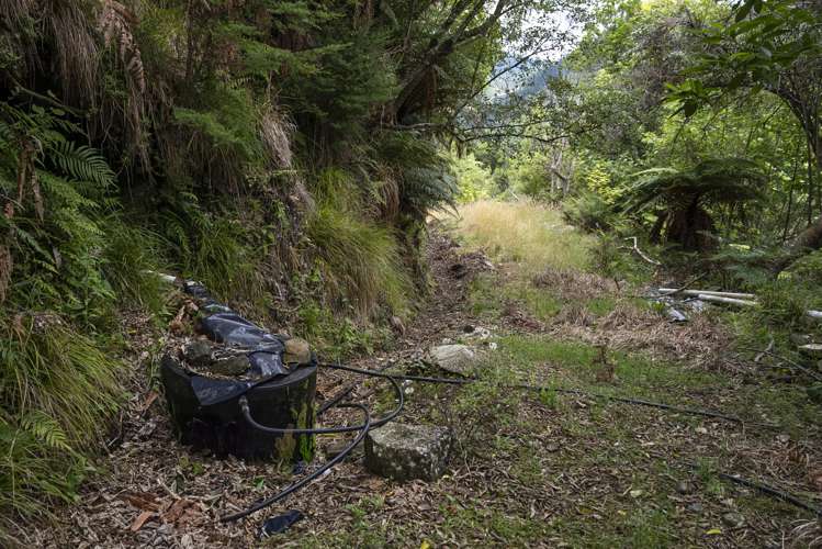 144 Graham Valley North Branch Road Motueka Valley_21
