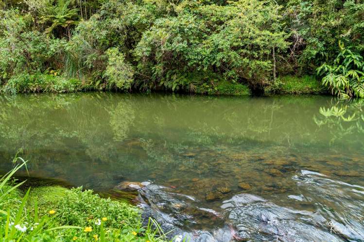 27 Donnellys Station Rd Donnellys Crossing_32