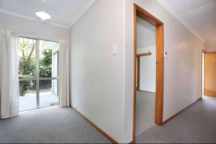 8 Nairn Crescent Awapuni_20