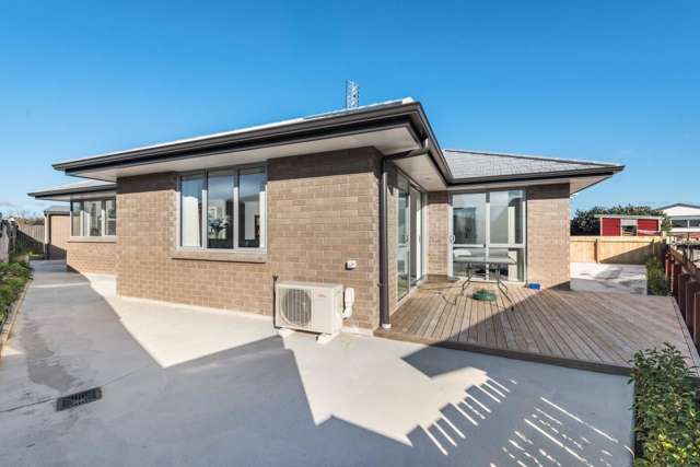 29a Tyrone Street Greerton_2