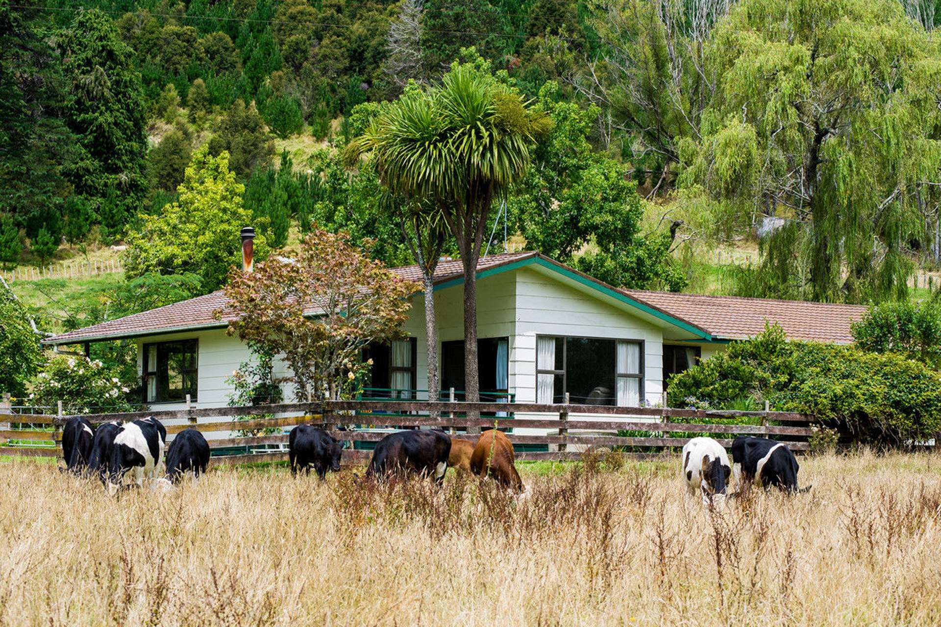 322 Bruce Road Whatatutu_0