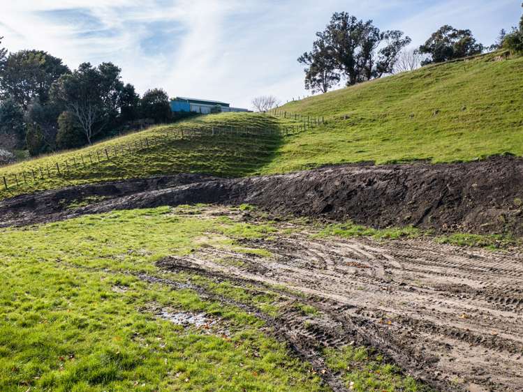 28 Montrose Street Kaiti_9