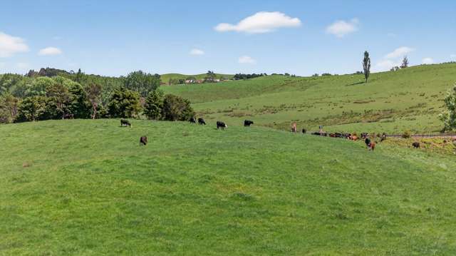 136 Ranganui Road Kaiwaka_4