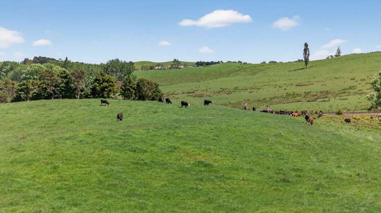 136 Ranganui Road Kaiwaka_4