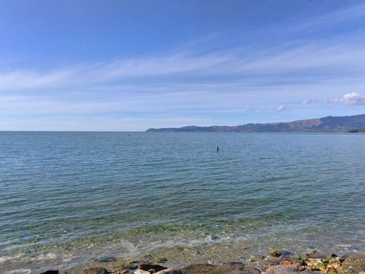 212 Rangihaeata Road Kahurangi National Park_7