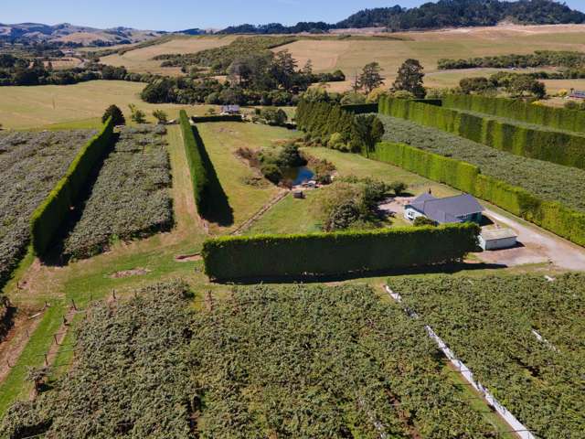 25a Fisher Road Waihi_1