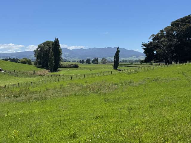 Lot 1 Pokuru Road Rd 3 Te Awamutu_1