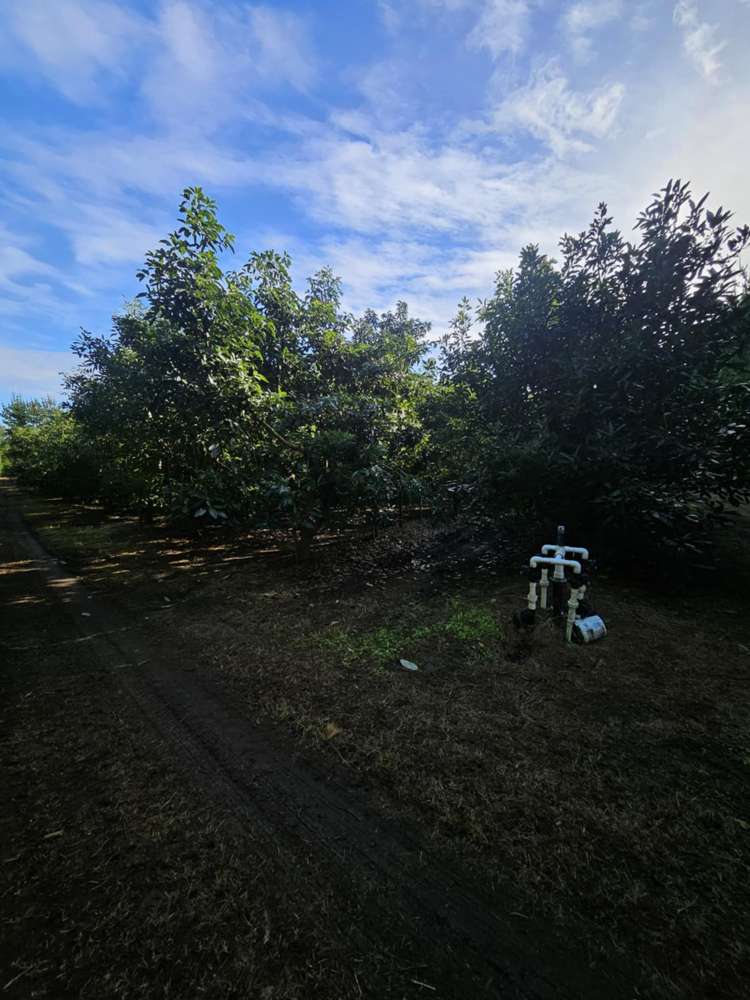 Heath Road Waiharara_17