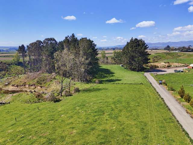 48A Heatherlea West Road Levin_2