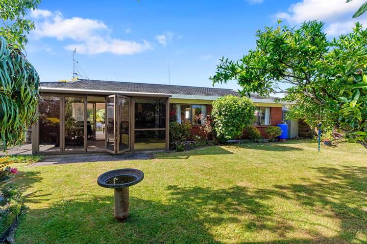 40B Waitui Grove Mount Maunganui_17