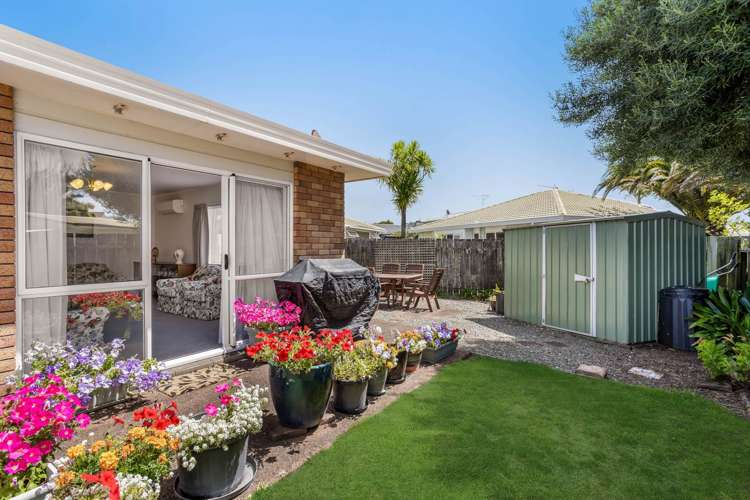 33a Alice Avenue Orewa_4