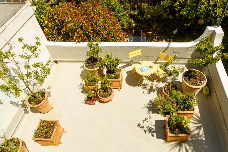 17/62 Moxham Avenue Hataitai_6