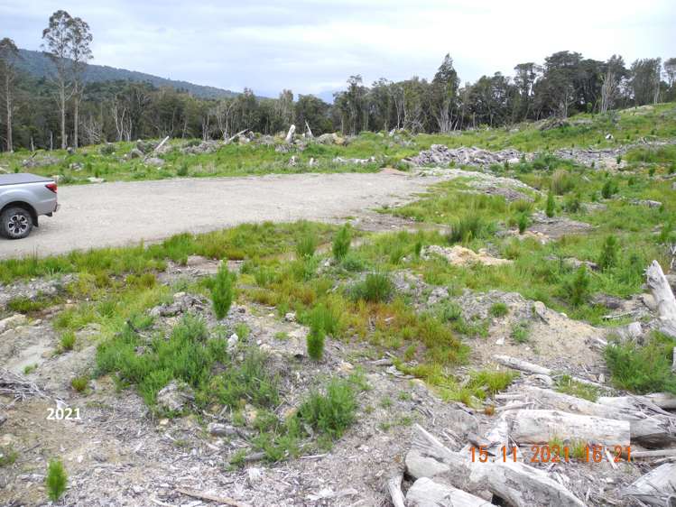 Marsden Road Marsden_14