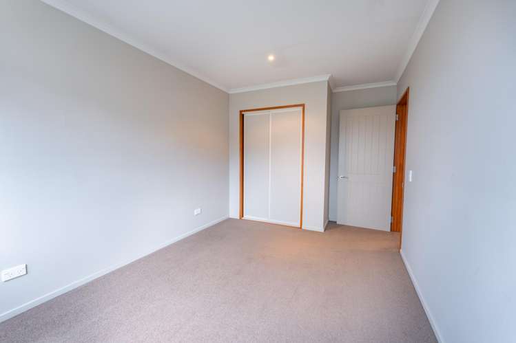 115a Domain Avenue Kensington_13