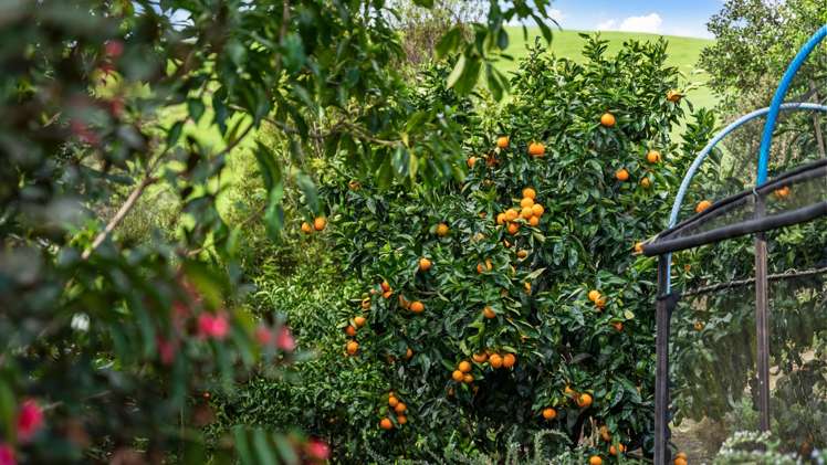 1027 Kaiaua Road Mangatangi_37