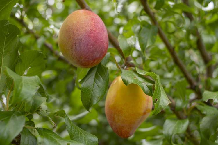 286 State Highway 2 North Bethlehem_25