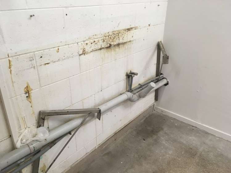 Shop 8, 55 Queens Drive Hutt Central_6