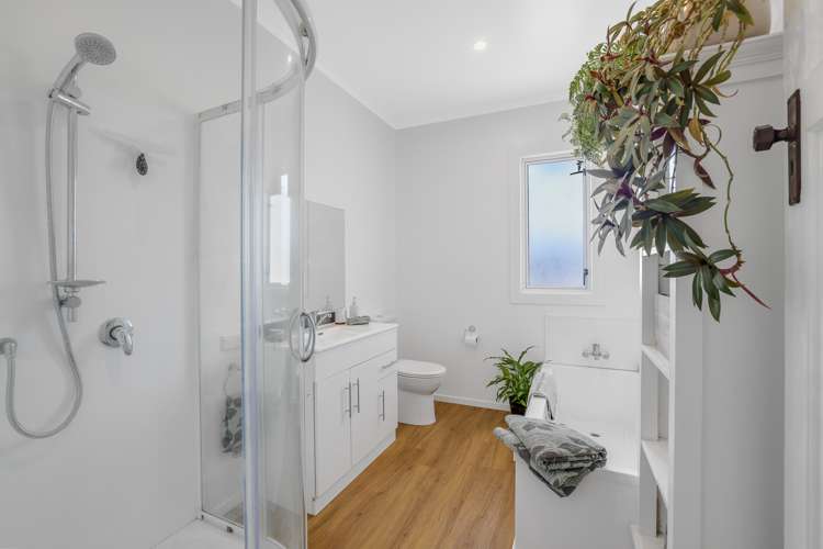 191 Flume Road Te Miro_9