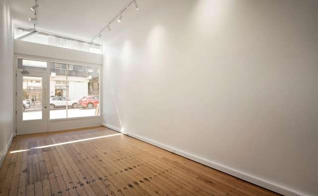 113 Parnell Road Parnell_2