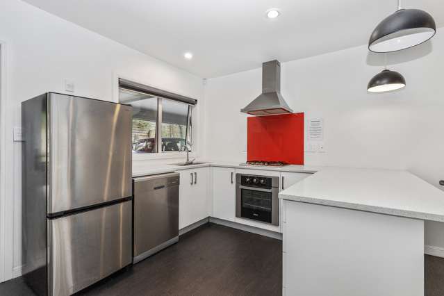 4/5 Edgecumbe Street Whitiora_2