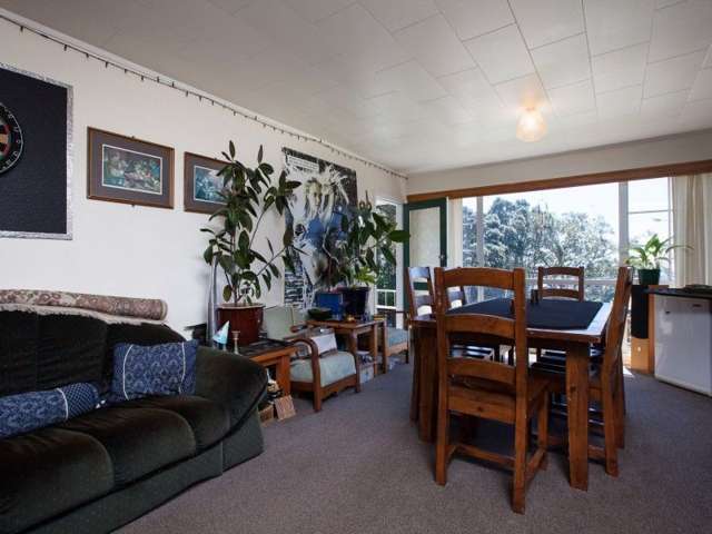 3/11 Dp Vivian Street Te Aro_1