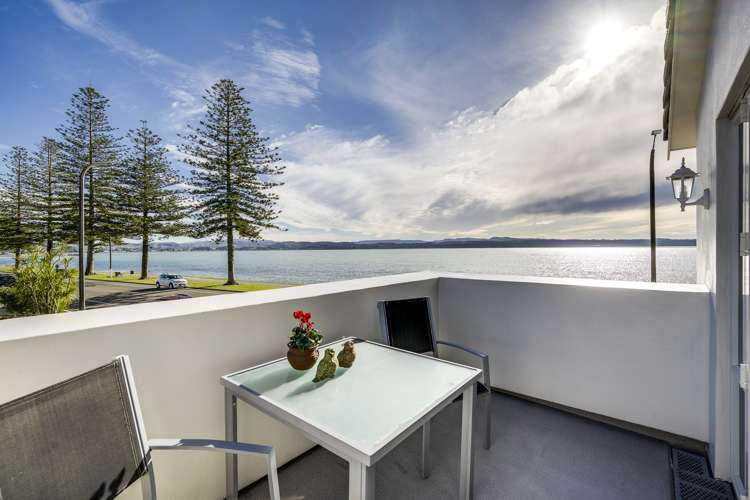 74 Hardinge Road Ahuriri_16