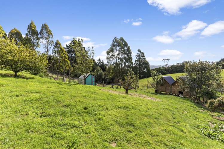 849 Blueskin Road Mount Cargill_13