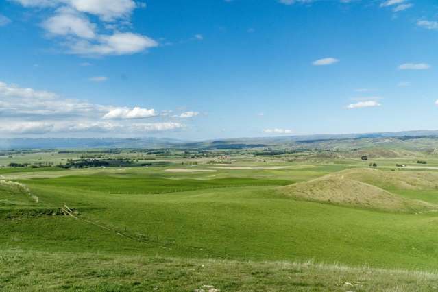 Corrigall Road Chatto Creek_3