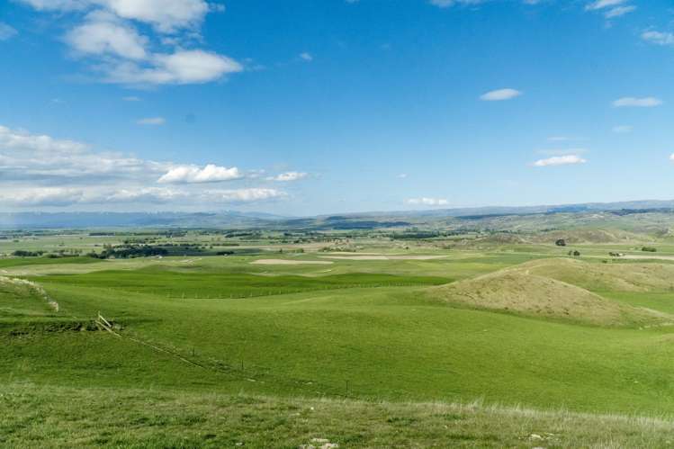 Corrigall Road Chatto Creek_5