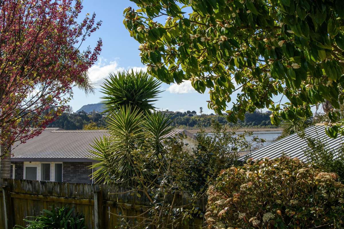 6A Novella Place_5