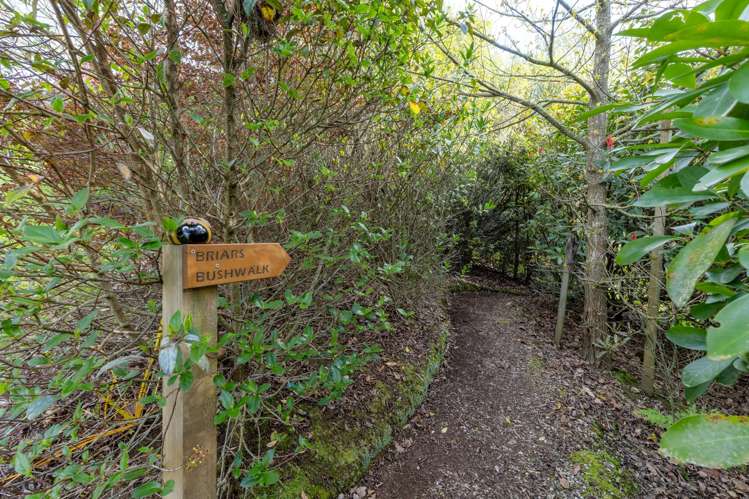 29B Rowe Road Whatawhata_26