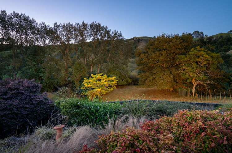 443 Scotsman Valley Road Tauwhare_13