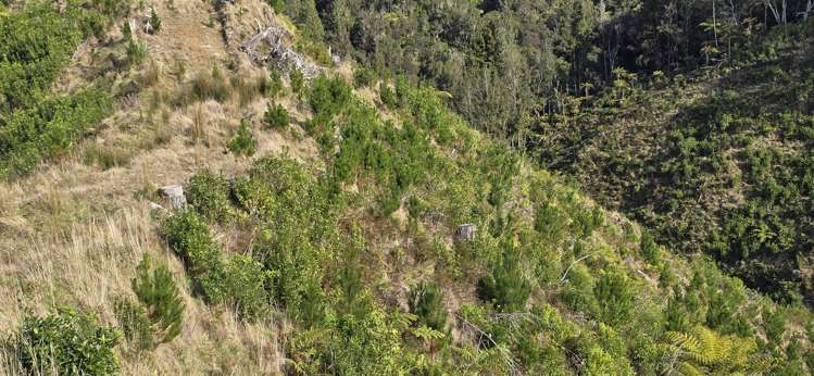 Junction Road Stratford_20