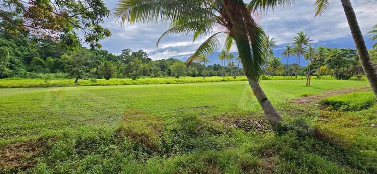 Address withheld Pacific Harbour_17