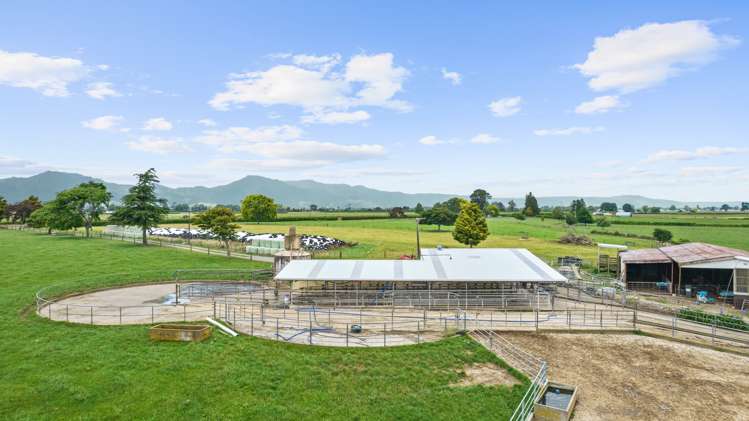 121 Piraunui Road Manawaru_5