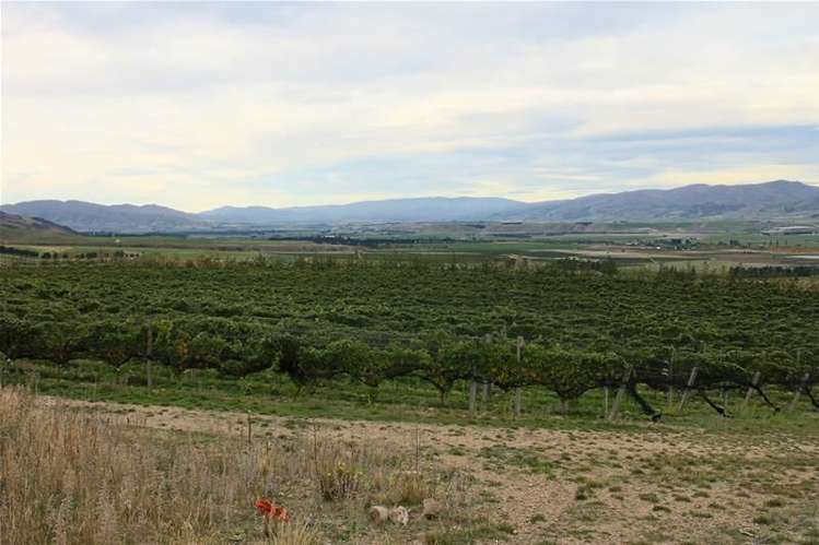 12 Macmillan Lane Cromwell_10