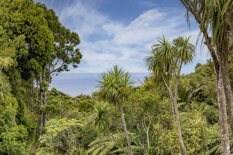 16 La Trobe Track Karekare_43