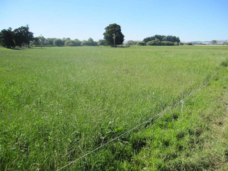 44 Matarawa Road Carterton_9