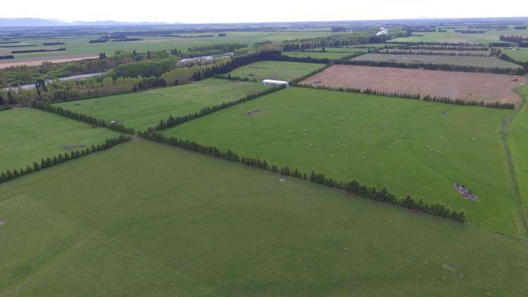 376 Anama Valetta Road Valetta_10