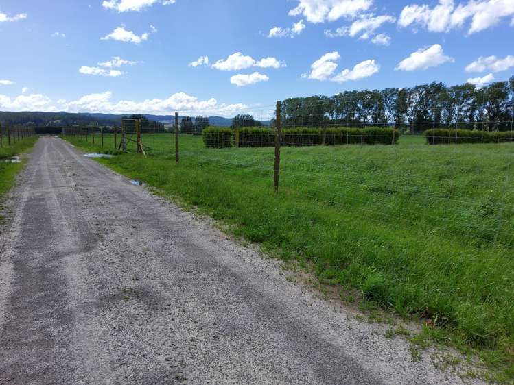 4980 Galatea Road Murupara Surrounds_3