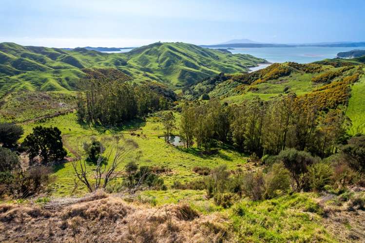 Lot 2 Whakapirau Road Kawhia_10